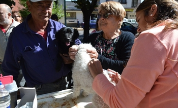 Imagen de la nota: Vacunación antirrábica gratuita en barrio Luján