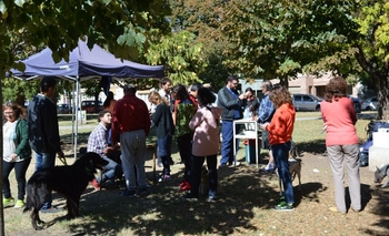 Imagen de la nota: Vacunaron cerca de 300 animales contra la rabia