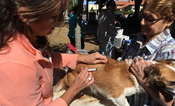 Imagen de la nota: El viernes que viene habrá jornada de vacunación antirrábica gratuita