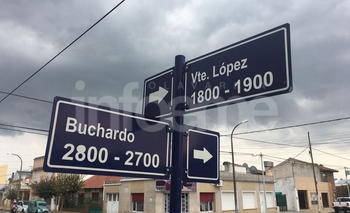 Imagen de la nota: Se encontró otro murciélago con rabia