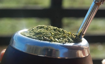 Imagen de la nota: Aprobado por expertos: el mate hace bien a la salud