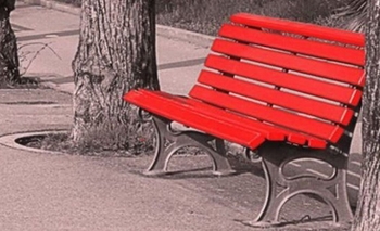 Imagen de la nota: Un 