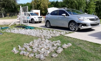 Imagen de la nota: Llevaba 275 kilos de ostras vivas y lo agarraron