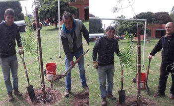 Imagen de la nota: Municipales plantaron “el árbol de la memoria” 
