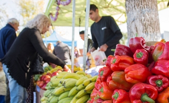 Imagen de la nota: El domingo vuelve “El Mercado en tu Barrio”