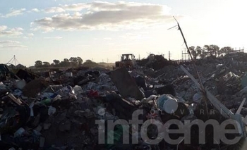 Imagen de la nota: Por presencia de máquinas, sacan perros del basural