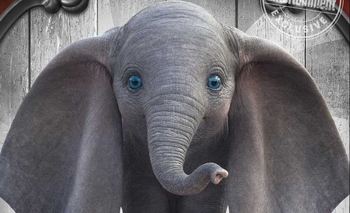 Imagen de la nota: Nuevas propuestas en Flix Cinema Olavarría