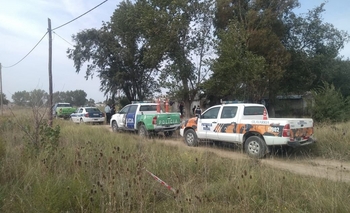 Dos allanamientos por un abigeato en Hinojo Imagen de la nota: Dos allanamientos por un abigeato en Hinojo