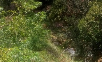 Imagen de la nota: Reclamo vecinal por un terreno baldío