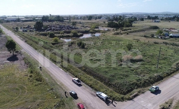 Imagen de la nota: Rastrillajes, pistas falsas e incertidumbre