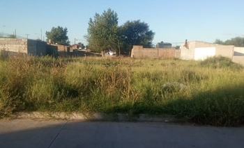 Imagen de la nota: Reclamo por un terreno: 