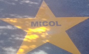 Pintaron una estrella amarilla por Micol Calandra Imagen de la nota: Pintaron una estrella amarilla por Micol Calandra