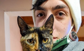 Imagen de la nota: Mascotas perdidas: buscan a Brisa, Negro y Cystal