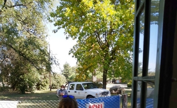 Imagen de la nota: Pro Huerta: el INTA entregará semillas