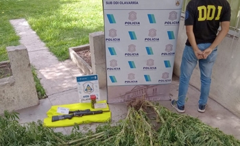 Imagen de la nota: Secuestraron un arma de fuego y plantas de marihuana 