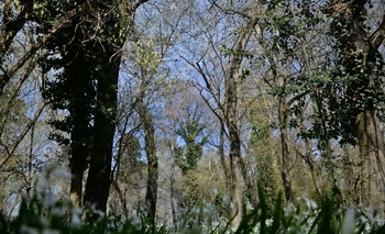 El Bioparque “La Máxima” tiene nuevos horarios Imagen de la nota: El Bioparque “La Máxima” tiene nuevos horarios