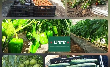 Imagen de la nota: Feria de verduras en Parque Helios Eseverri