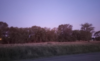 Imagen de la nota: Reclaman por luminarias en Villa Aurora