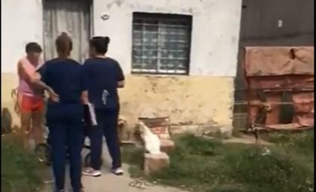 Imagen de la nota: Rescataron dos perros y una gata