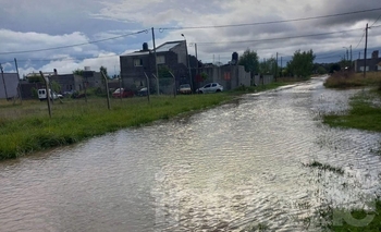Imagen de la nota: Información importante: centros de asistencia, teléfonos útiles y donaciones