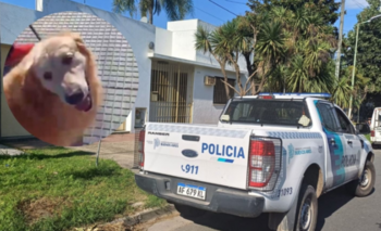 Imagen de la nota: Una mujer llevó a su perro a una carnicería de La Plata para ser faenado y fue denunciada