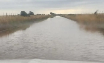 Imagen de la nota: La lluvia causó problemas en Villarino: más de 100 milímetros y caminos inundados