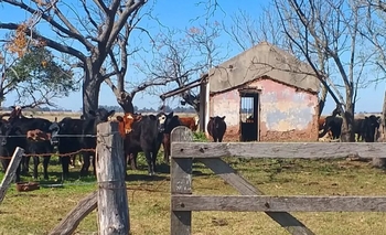 Imagen de la nota: Una de cada cuatro casas del campo está vacía