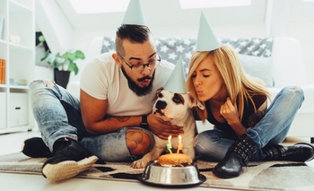 Imagen de la nota: Ayer cuchas y cadenas, hoy familia multiespecie