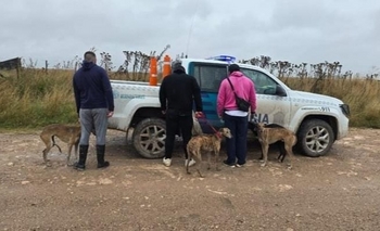 Imagen de la nota: Tres aprehendidos por caza furtiva 