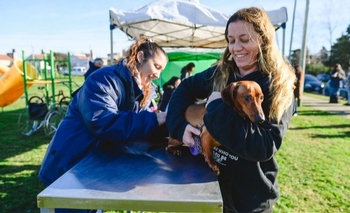 Imagen de la nota: Este viernes se llevará a cabo un operativo de bloqueo antirrábico
