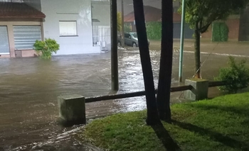 Imagen de la nota: El drama por las lluvias: calles y viviendas inundadas