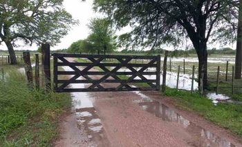 Imagen de la nota: Los registros de lluvia en los establecimientos rurales 