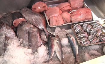 No se detectaron irregularidades en comercios que venden pescados Imagen de la nota: No se detectaron irregularidades en comercios que venden pescados