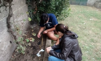 Imagen de la nota: Actividad solidaria en Rotaract