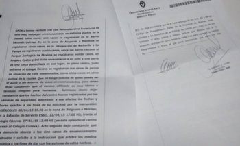 Imagen de la nota: Proteccionistas denuncian enveneamiento masivo de perros