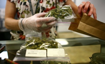 Imagen de la nota: Bajamón busca adherir al proyecto de uso medicinal de la marihuana de La Madrid