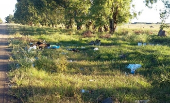 Imagen de la nota: Aramburu: 