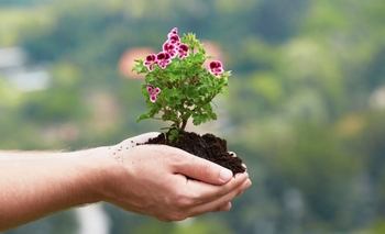 Imagen de la nota: Disfrutar de un aire limpio es un derecho elemental