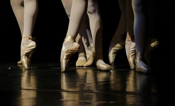 Este domingo se celebrará el Día Internacional de la Danza Imagen de la nota: Este domingo se celebrará el Día Internacional de la Danza