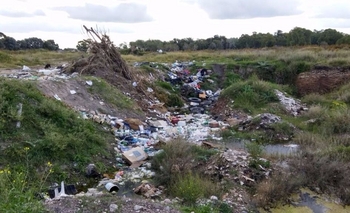 Fuertes multas por arrojar basura en la vía pública Imagen de la nota: Fuertes multas por arrojar basura en la vía pública