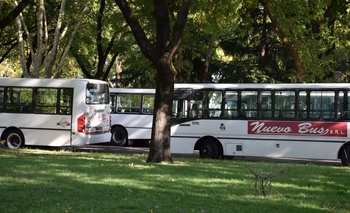 Imagen de la nota: Ex choferes de Nuevo Bus cobraron los sueldos adeudados