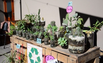 Imagen de la nota: La Feria Agroalimentaria vuelve al Centro Cultural