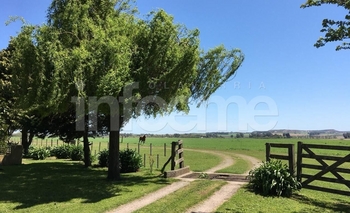 Imagen de la nota: Productores se lamentaron por un nuevo abigeato 