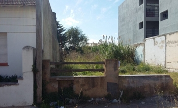 Quejas por un terreno abandonado en Pueblo Nuevo Imagen de la nota: Quejas por un terreno abandonado en Pueblo Nuevo