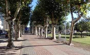 Imagen de la nota: Así estará el tiempo en Olavarría este domingo