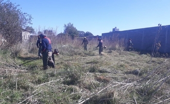 Limpieza de baldíos en el barrio Provincias Argentinas Imagen de la nota: Limpieza de baldíos en el barrio Provincias Argentinas