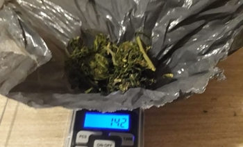 Imagen de la nota: Incautaron unos 40g de marihuana en operativos