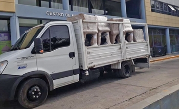 Imagen de la nota: El Municipio realizó mejoras en el servicio de Pediatría