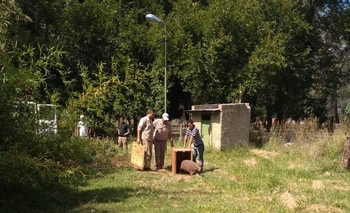Rescataron dos carpinchos y los llevaron a La Máxima Imagen de la nota: Rescataron dos carpinchos y los llevaron a La Máxima