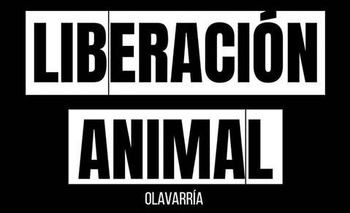 Activistas veganos realizarán actividades por el Día del Animal Imagen de la nota: Activistas veganos realizarán actividades por el Día del Animal